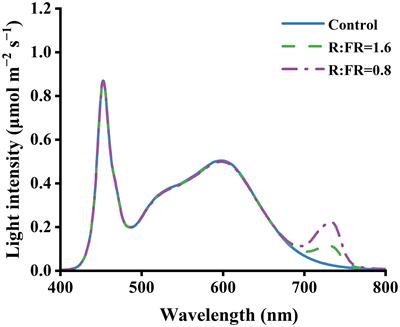 Quantifying the effects of far-red light on lettuce photosynthesis and growth using a 3D modelling approach